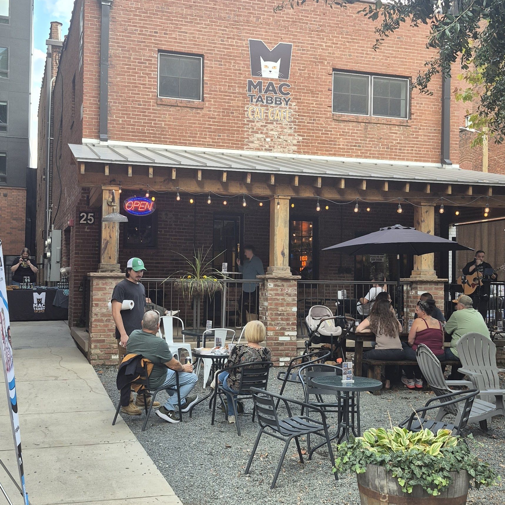 Mac Tabby Cat Café